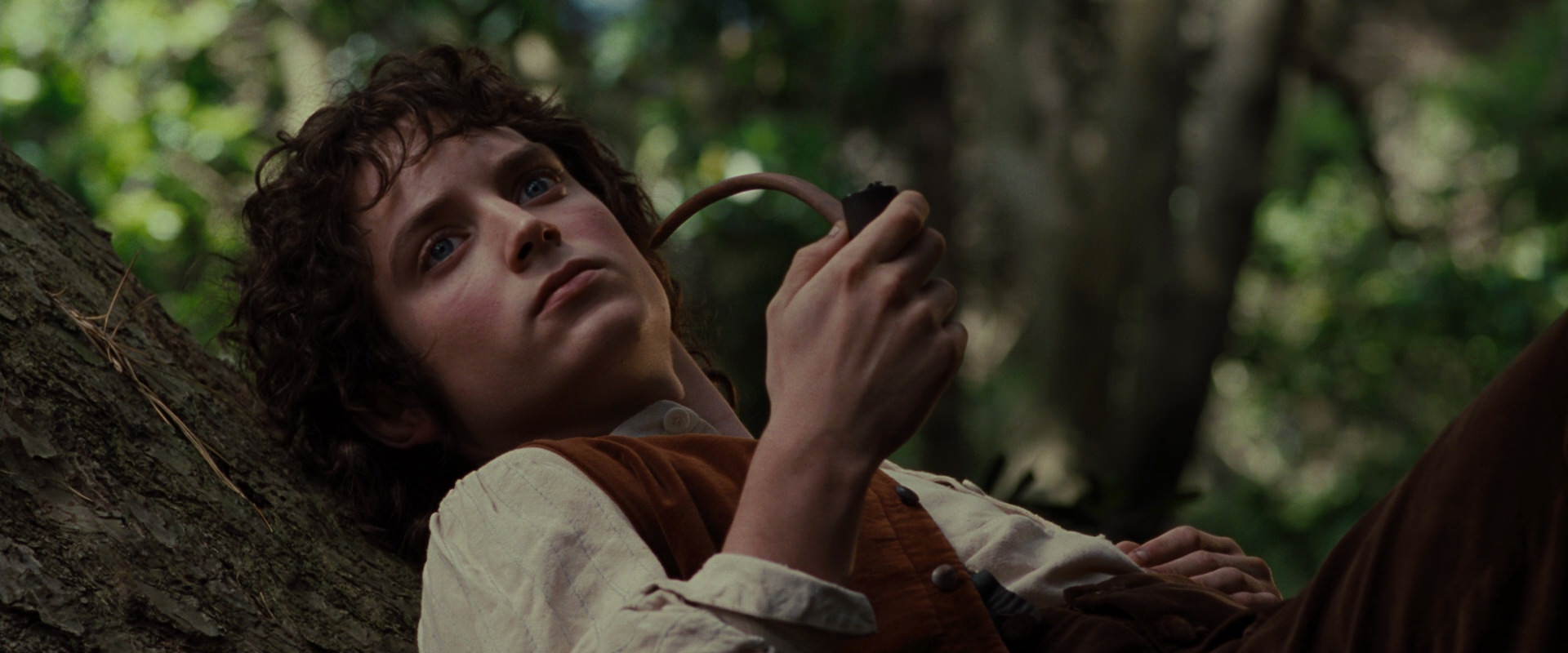 The Lord of the Rings: The Fellowship of the Ring (2001) HD screenshot 5168