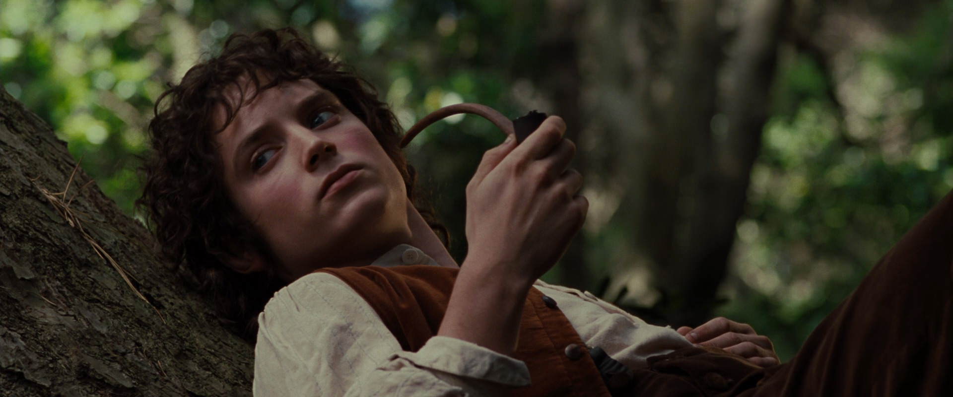 The Lord of the Rings: The Fellowship of the Ring (2001) screencap 5169