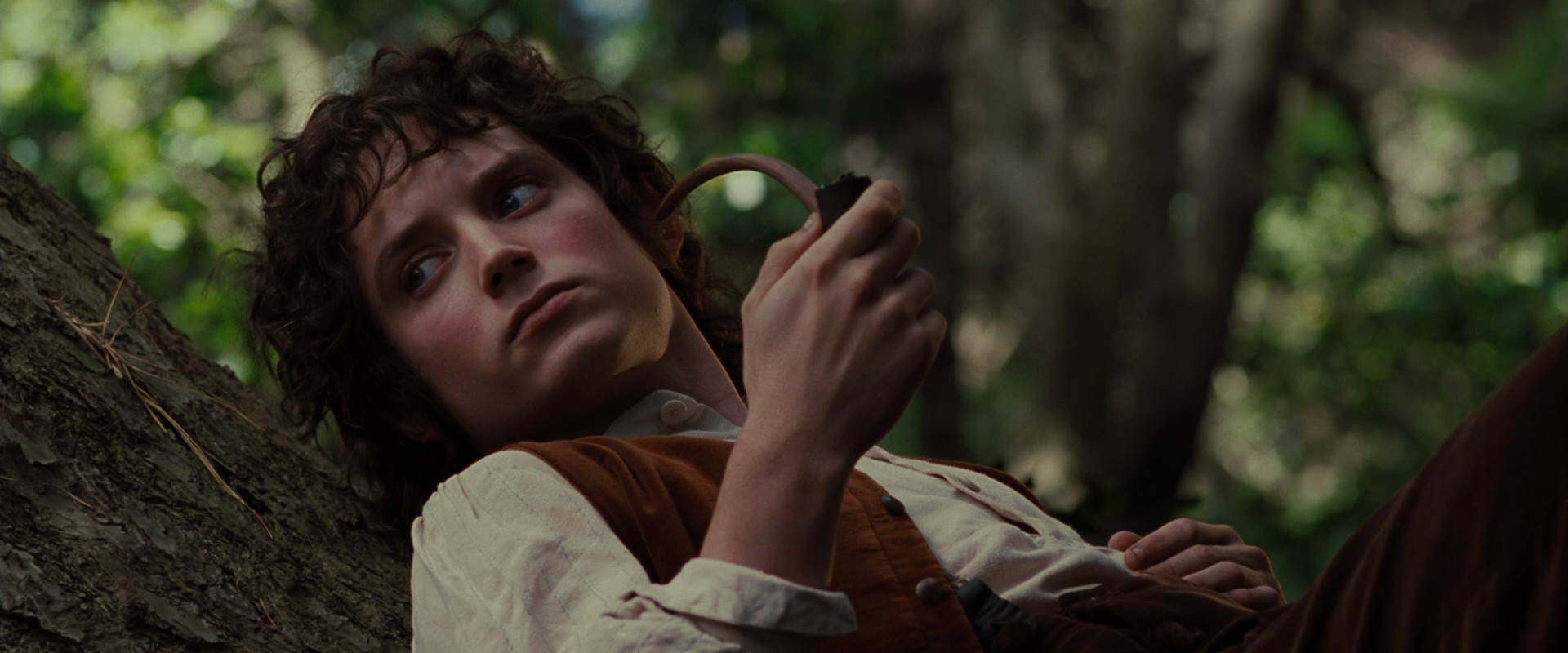 The Lord of the Rings: The Fellowship of the Ring (2001) HD screenshot 5171