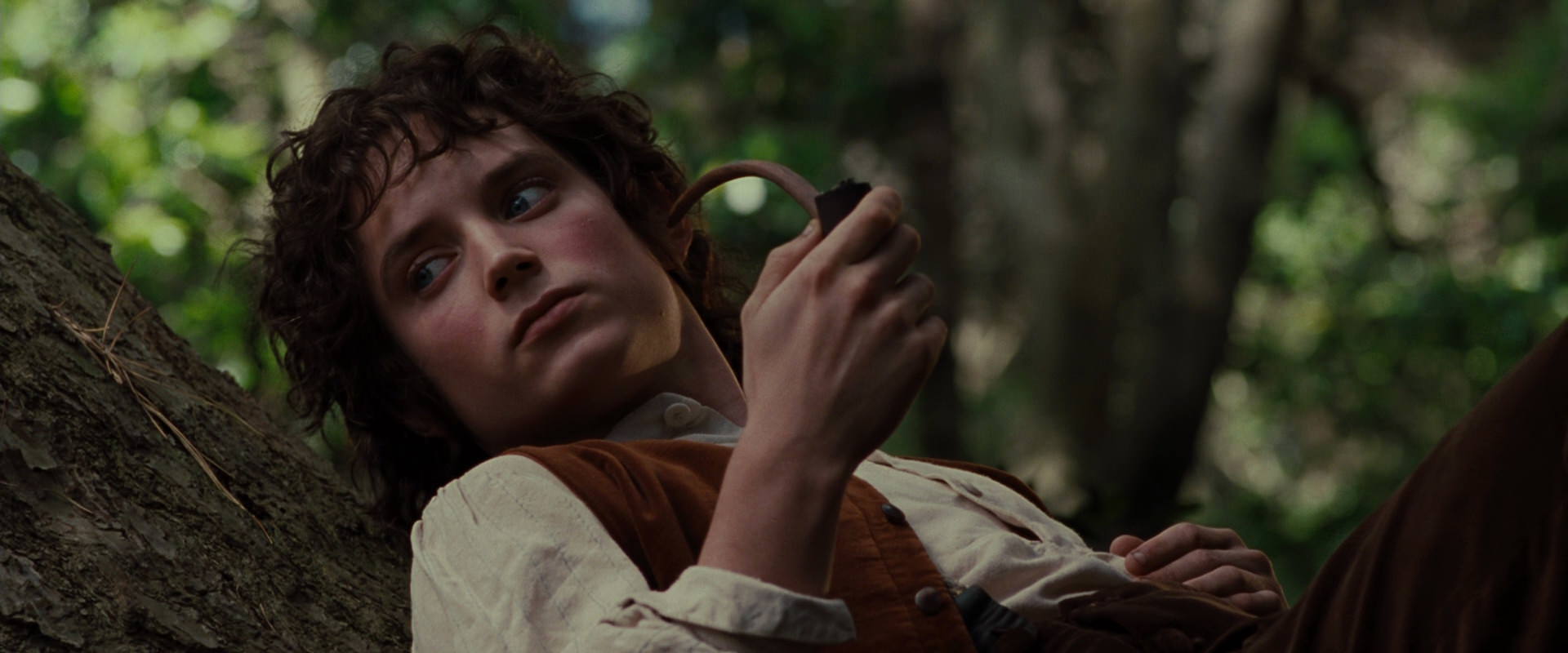 The Lord of the Rings: The Fellowship of the Ring (2001) screencap 5172