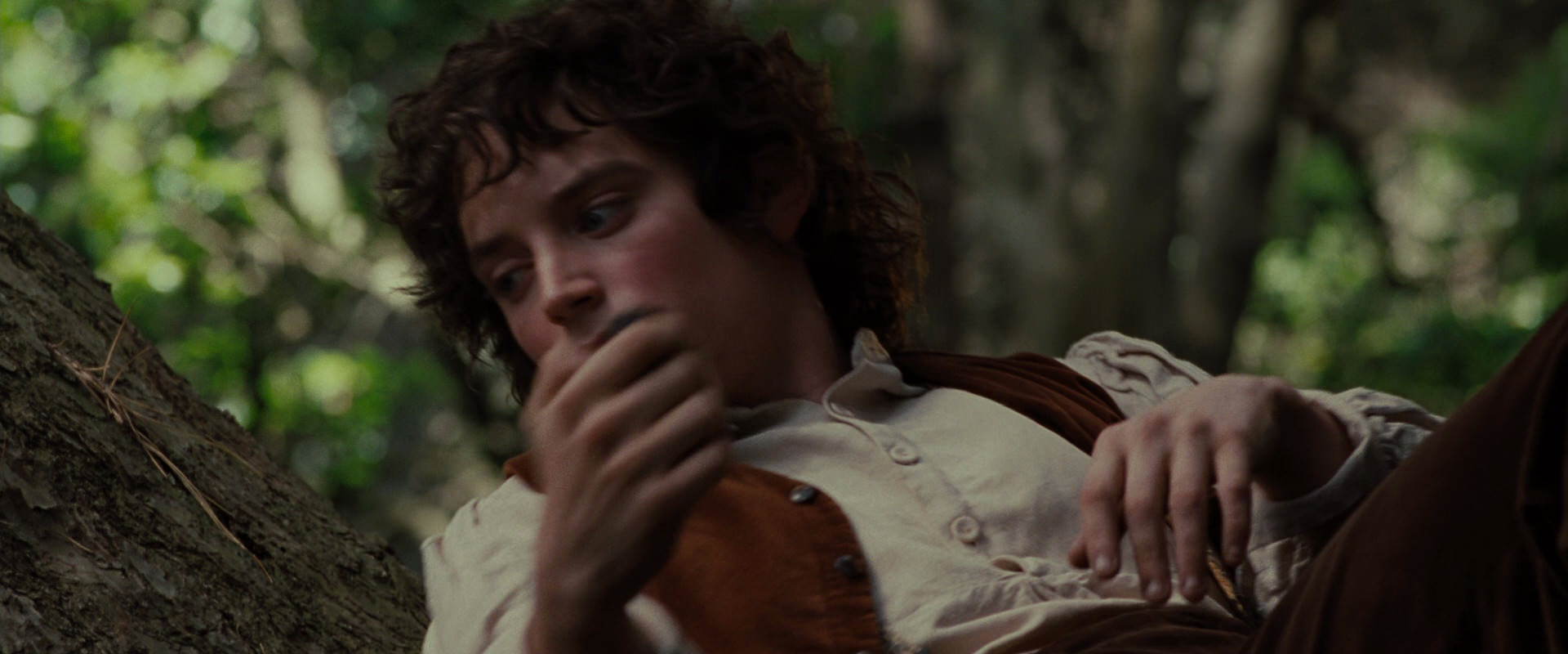 The Lord of the Rings: The Fellowship of the Ring (2001) HD screenshot 5174