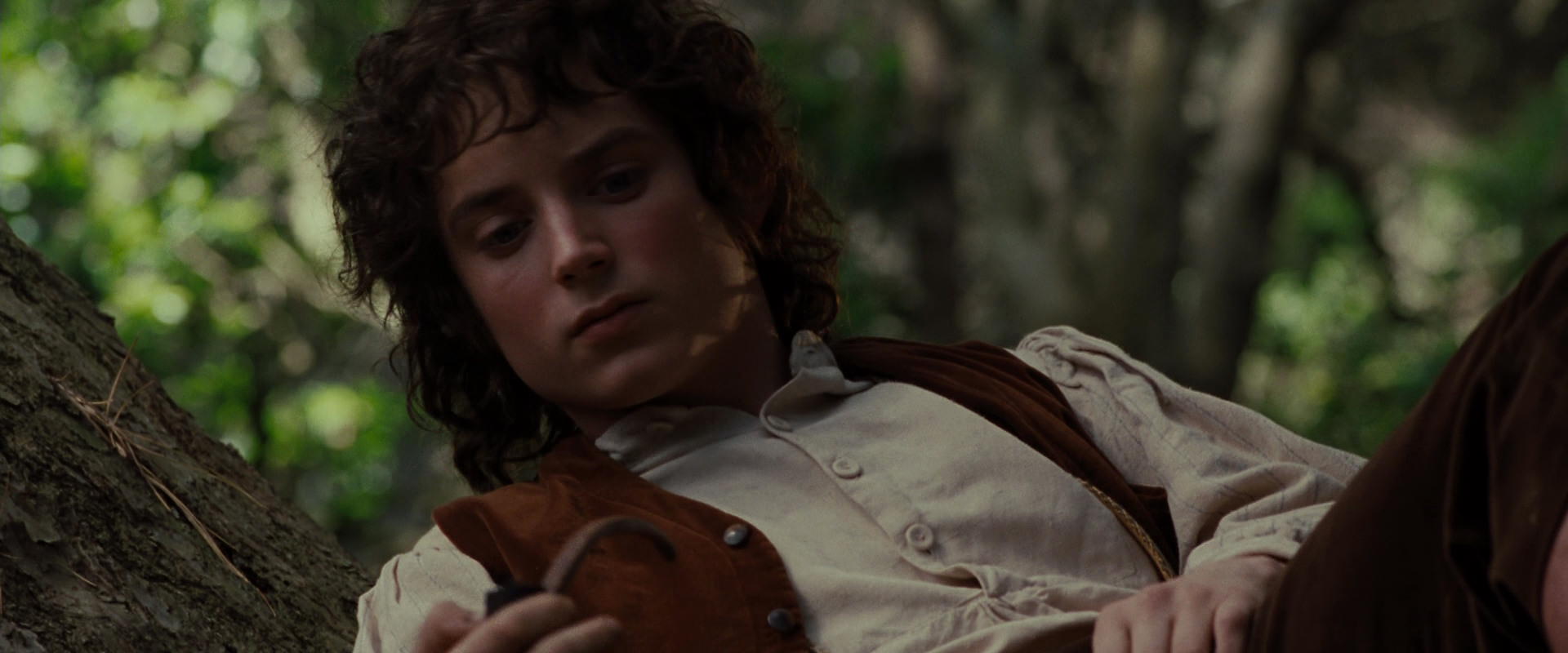 The Lord of the Rings: The Fellowship of the Ring (2001) screencap 5175