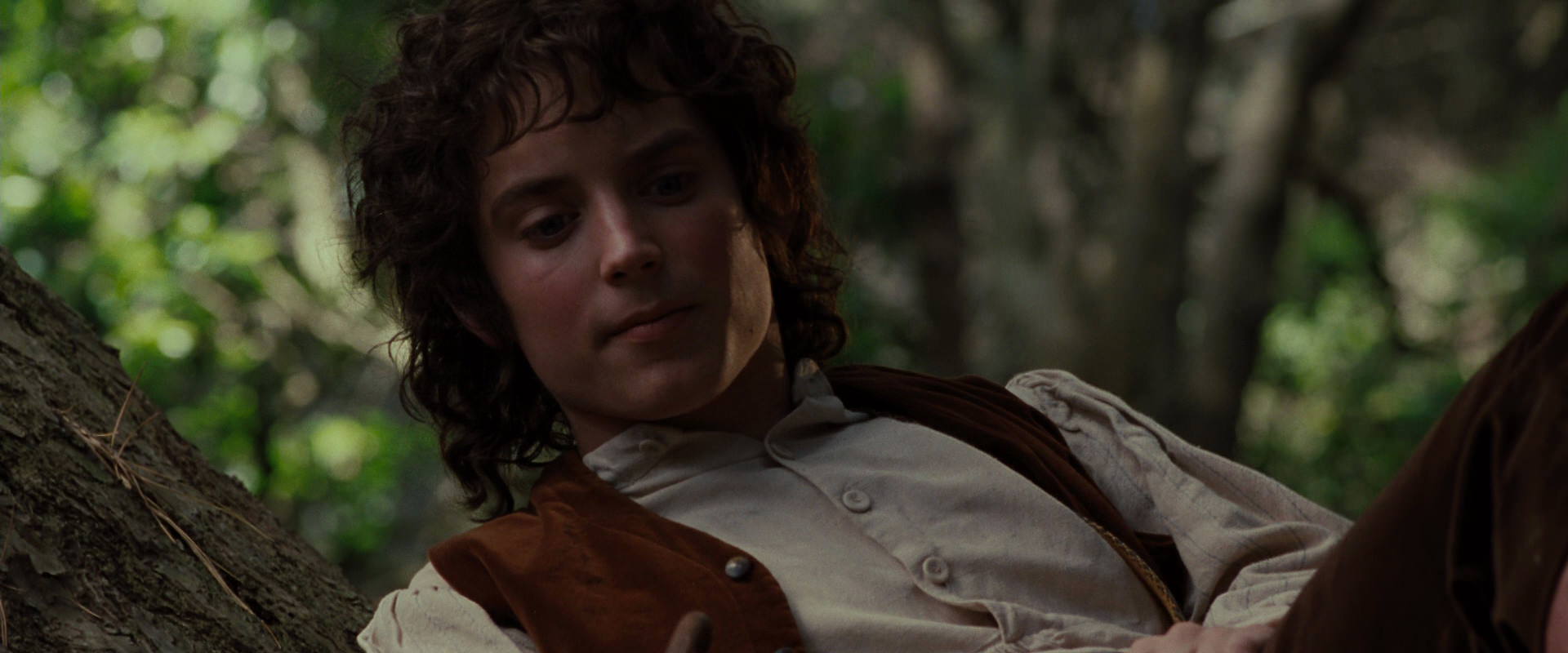 The Lord of the Rings: The Fellowship of the Ring (2001) movie still 5176