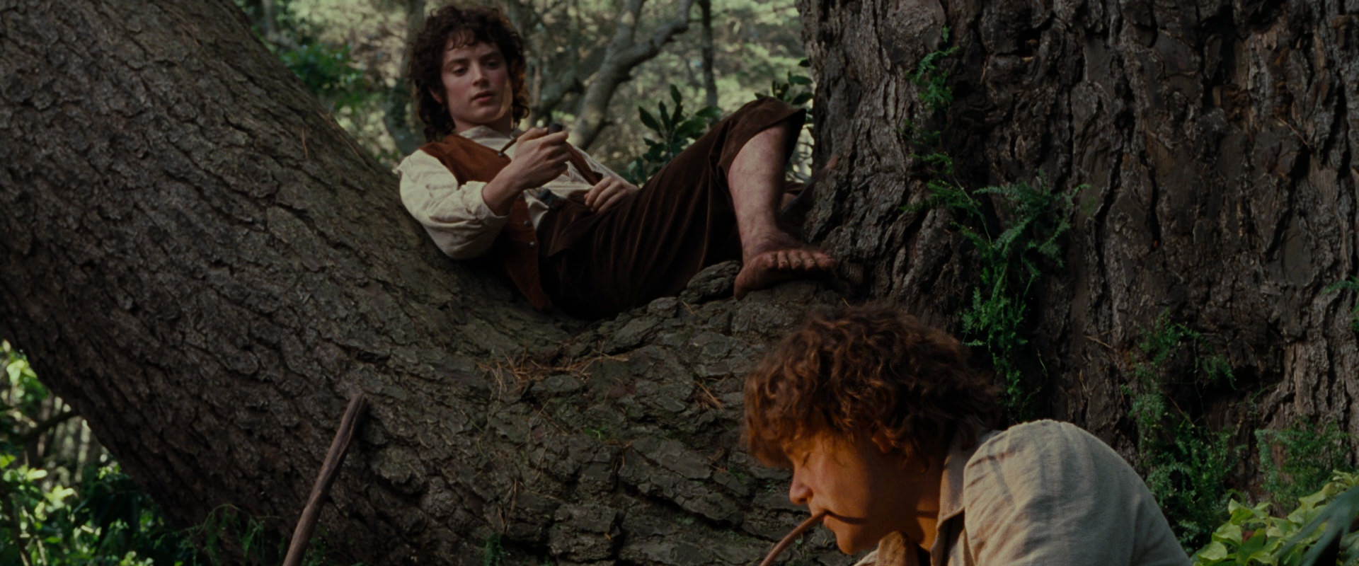 The Lord of the Rings: The Fellowship of the Ring (2001) HD screenshot 5177