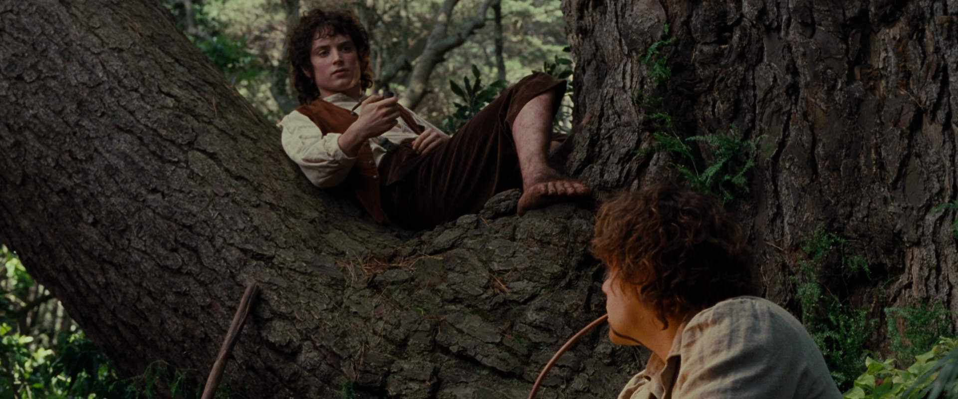 The Lord of the Rings: The Fellowship of the Ring (2001) screencap 5178