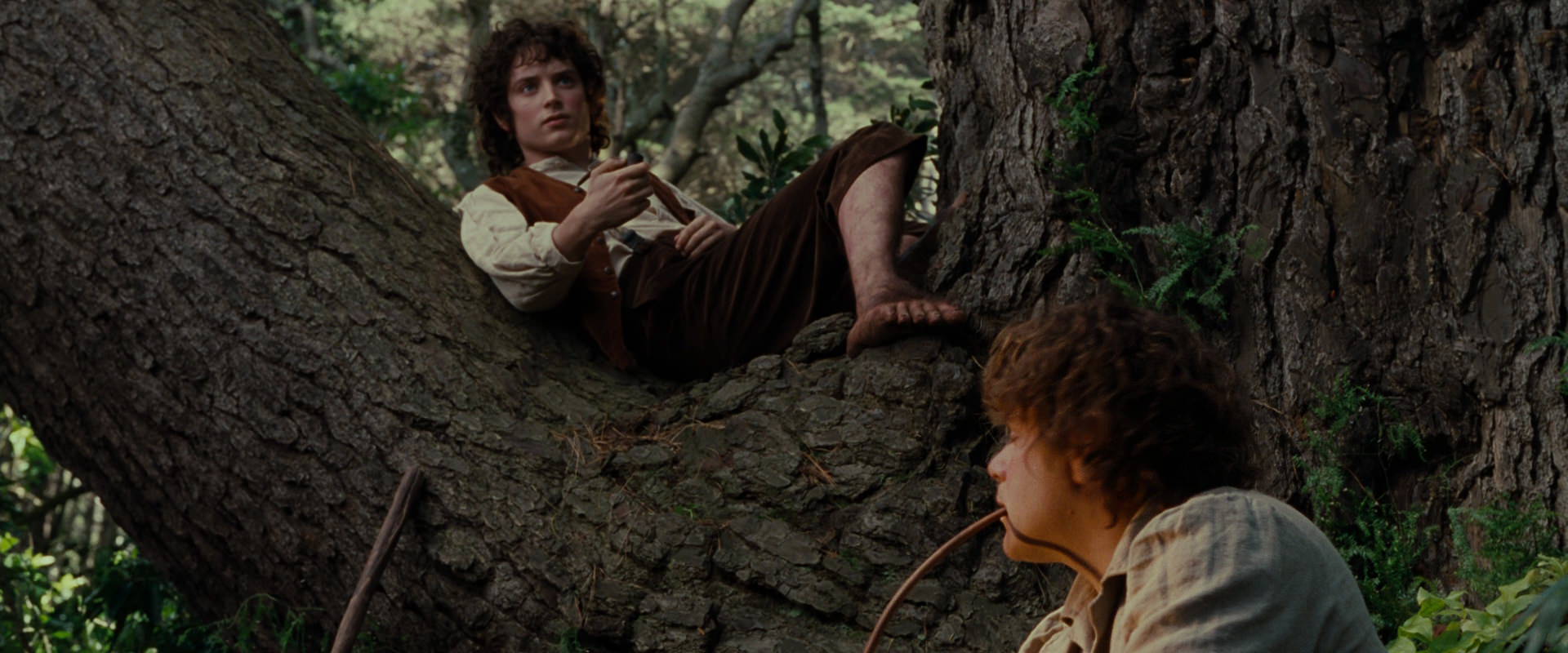 The Lord of the Rings: The Fellowship of the Ring (2001) movie still 5179
