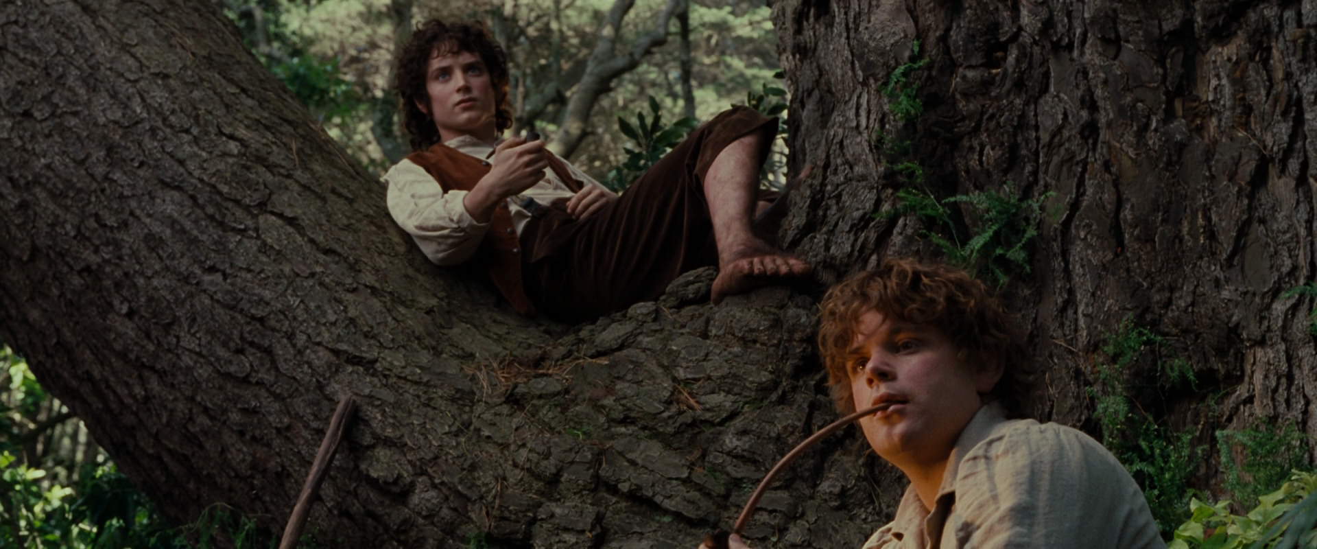 The Lord of the Rings: The Fellowship of the Ring (2001) HD screenshot 5180