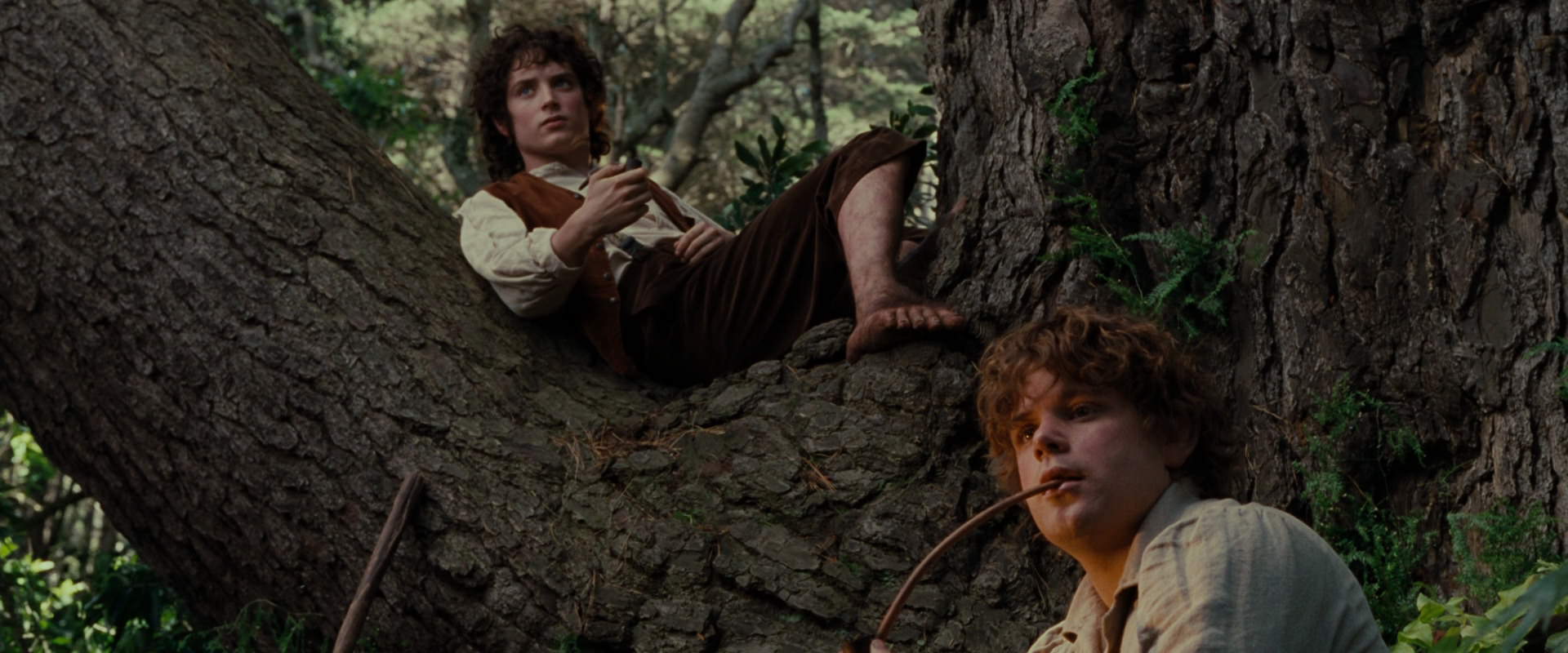 The Lord of the Rings: The Fellowship of the Ring (2001) screencap 5181