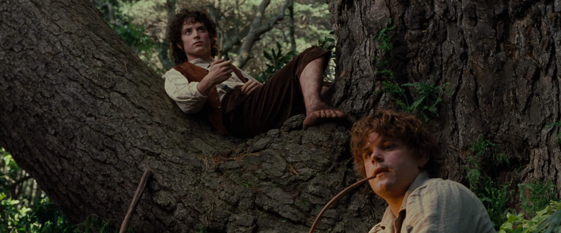 The Lord of the Rings: The Fellowship of the Ring (2001) movie still 5182