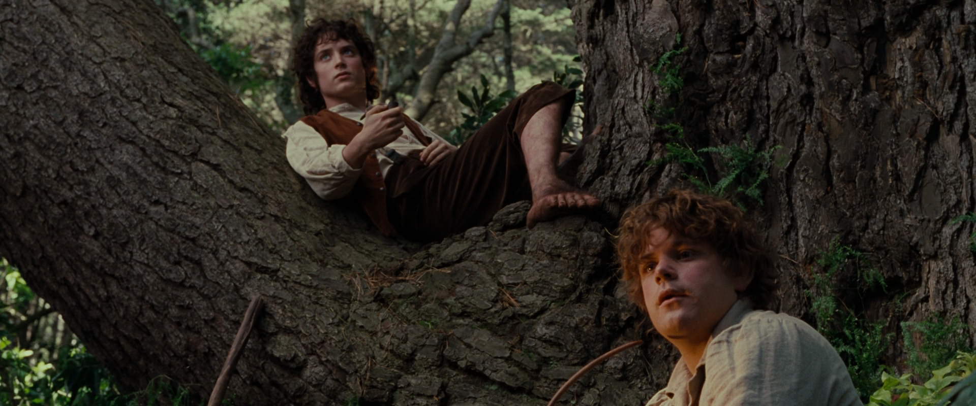 The Lord of the Rings: The Fellowship of the Ring (2001) HD screenshot 5183