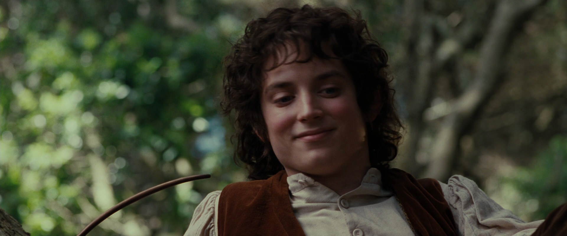 The Lord of the Rings: The Fellowship of the Ring (2001) screencap 5184