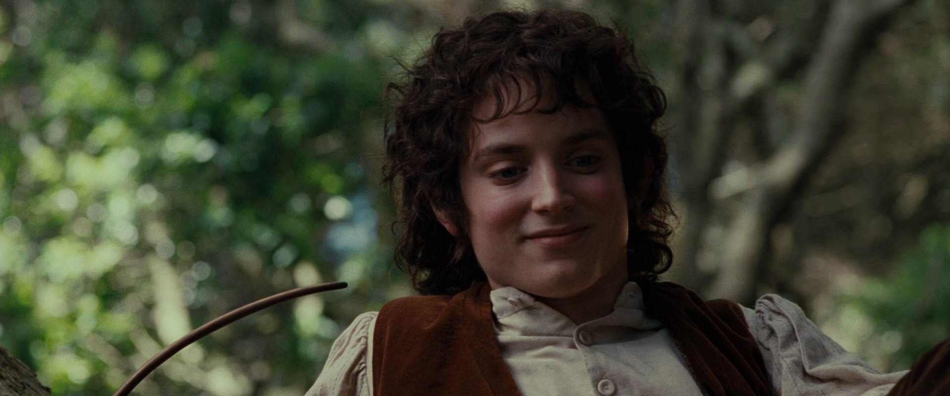 The Lord of the Rings: The Fellowship of the Ring (2001) movie still 5185