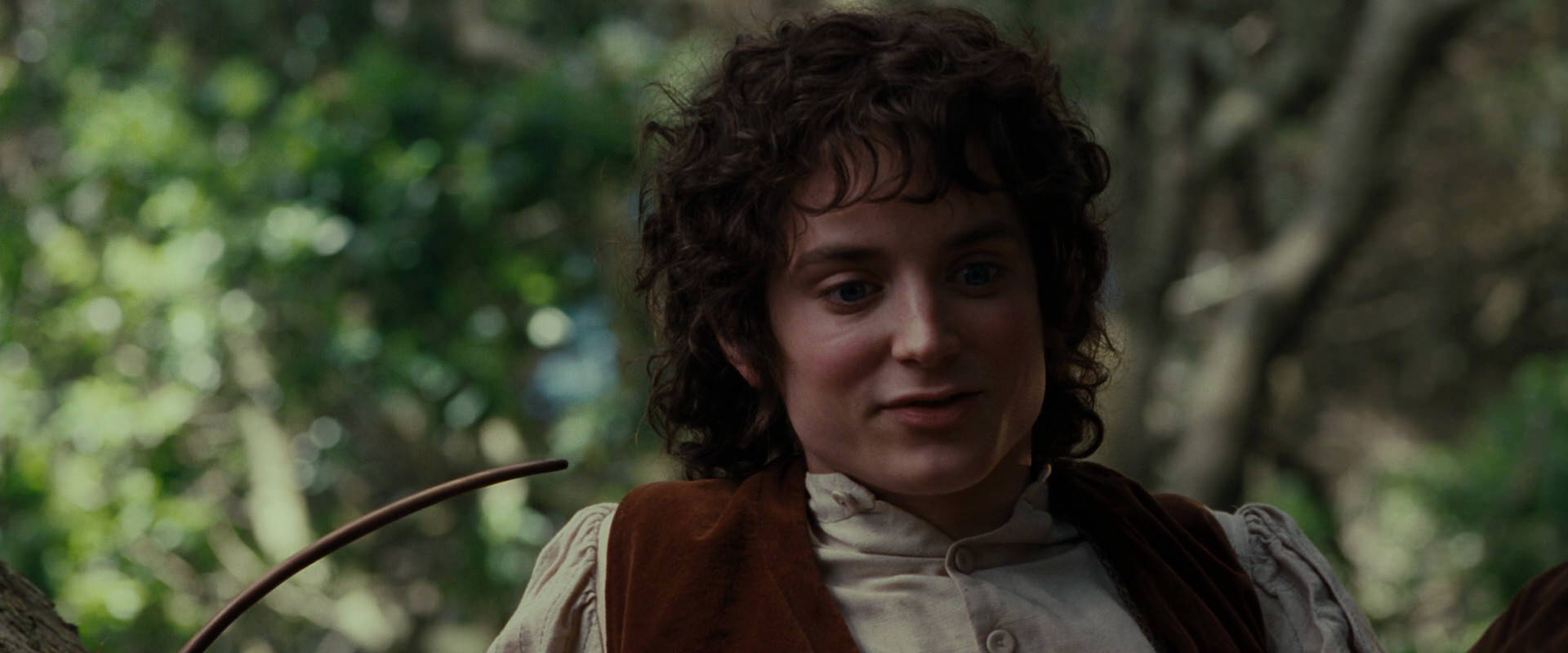The Lord of the Rings: The Fellowship of the Ring (2001) screencap 5187