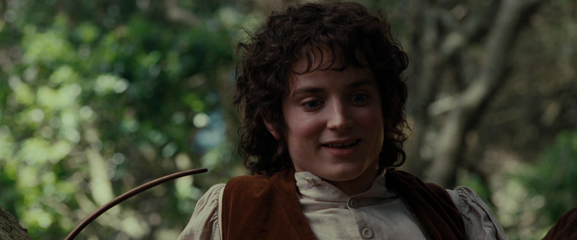 The Lord of the Rings: The Fellowship of the Ring (2001) movie still 5188
