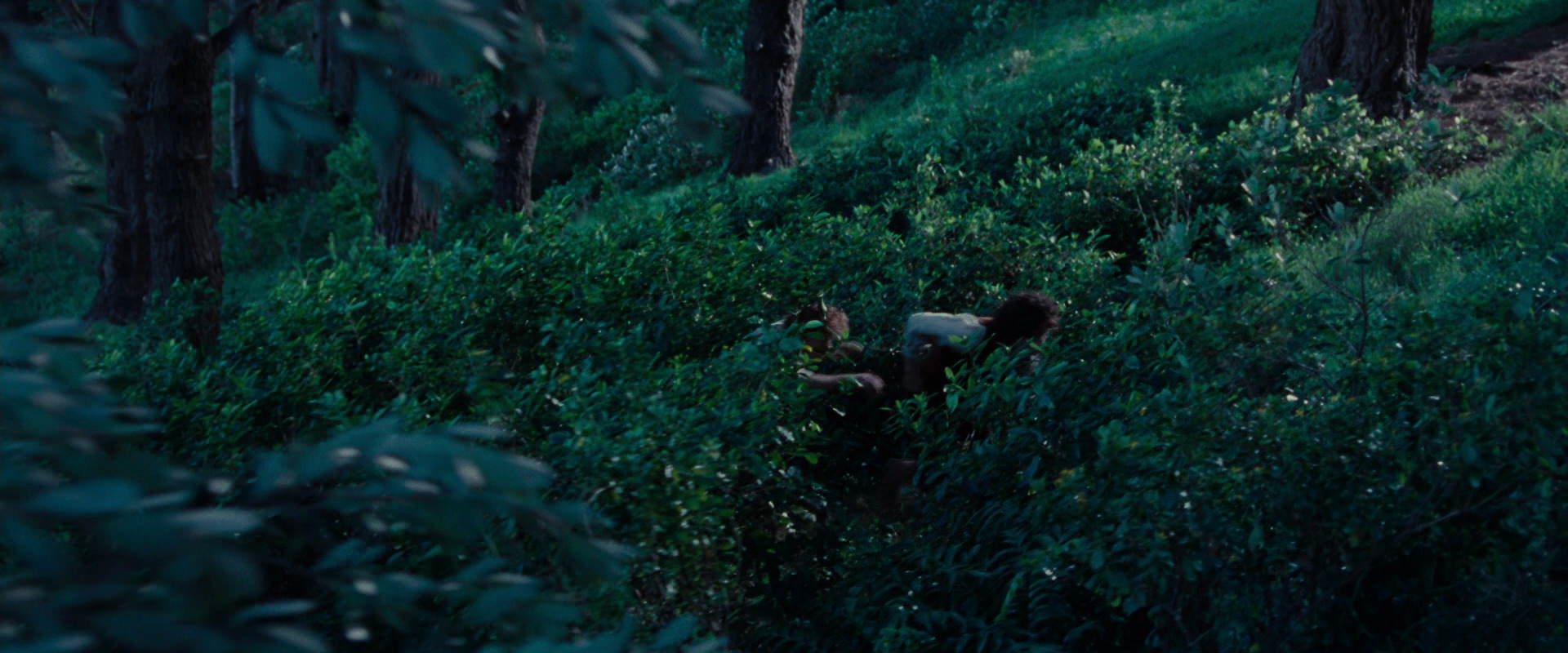 The Lord of the Rings: The Fellowship of the Ring (2001) HD screenshot 5189