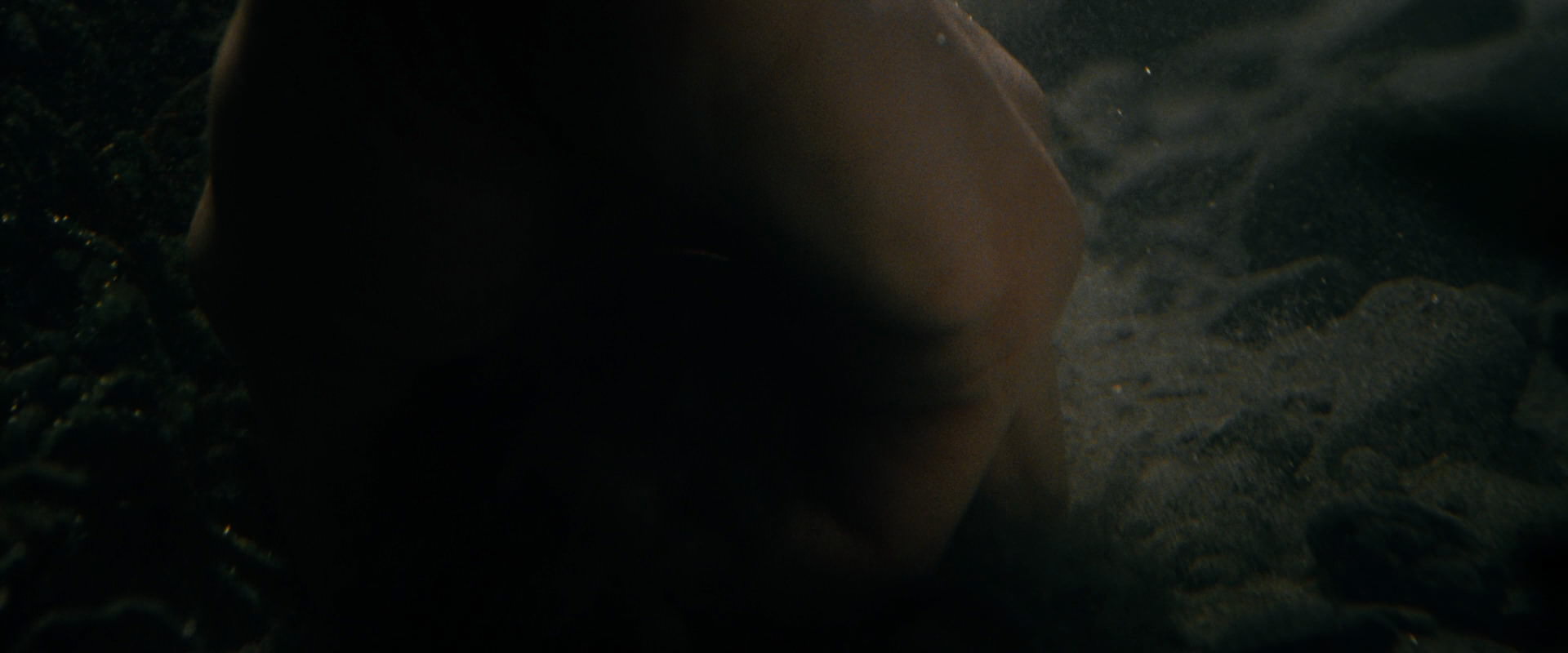 The Lord of the Rings: The Fellowship of the Ring (2001) screencap 519