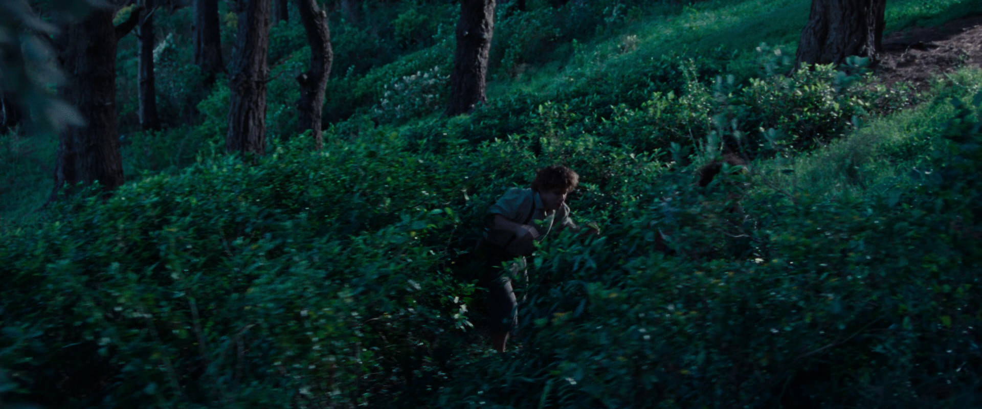 The Lord of the Rings: The Fellowship of the Ring (2001) screencap 5190