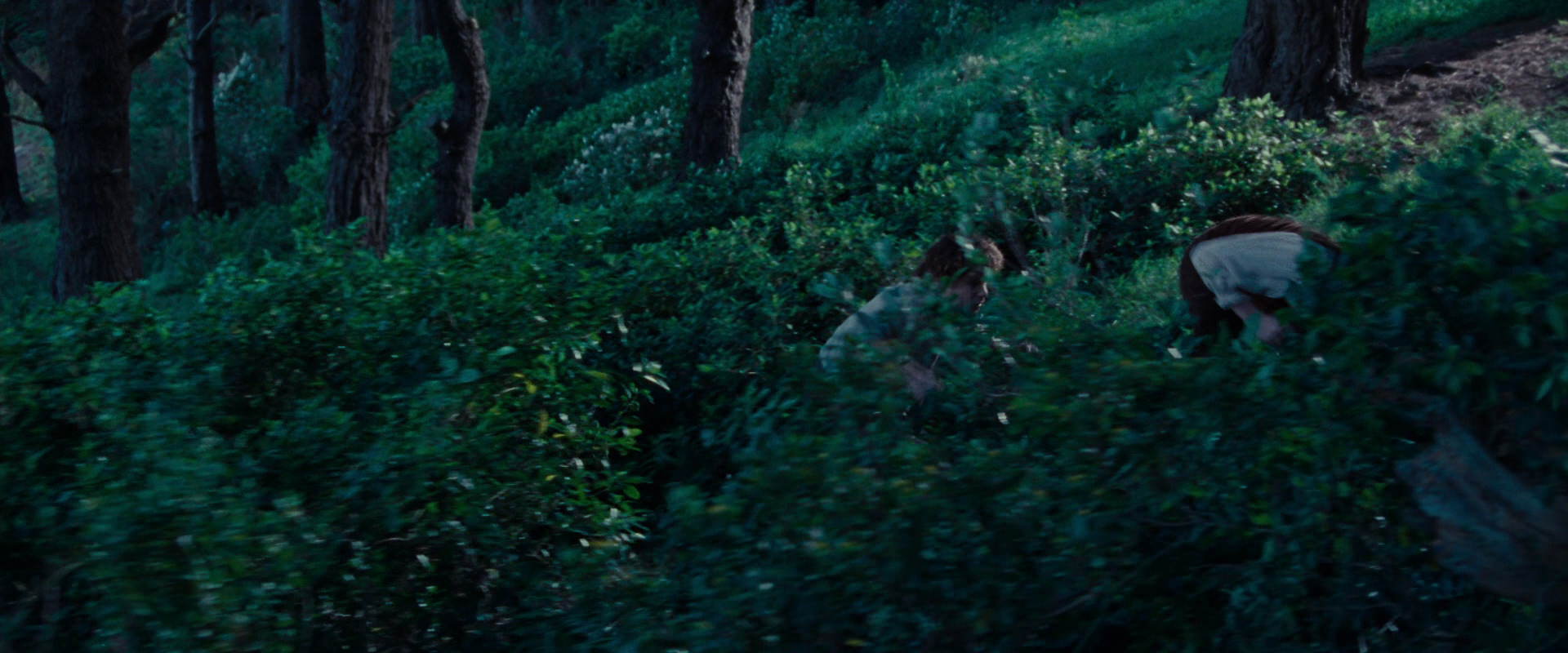 The Lord of the Rings: The Fellowship of the Ring (2001) movie still 5191