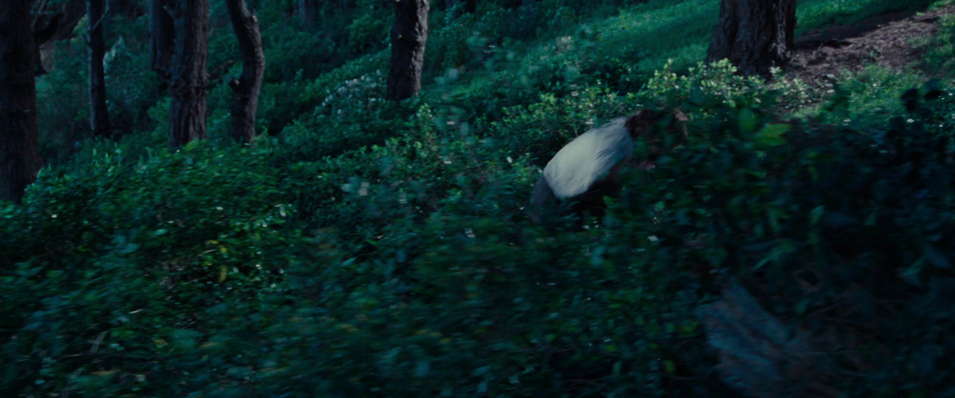 The Lord of the Rings: The Fellowship of the Ring (2001) HD screenshot 5192