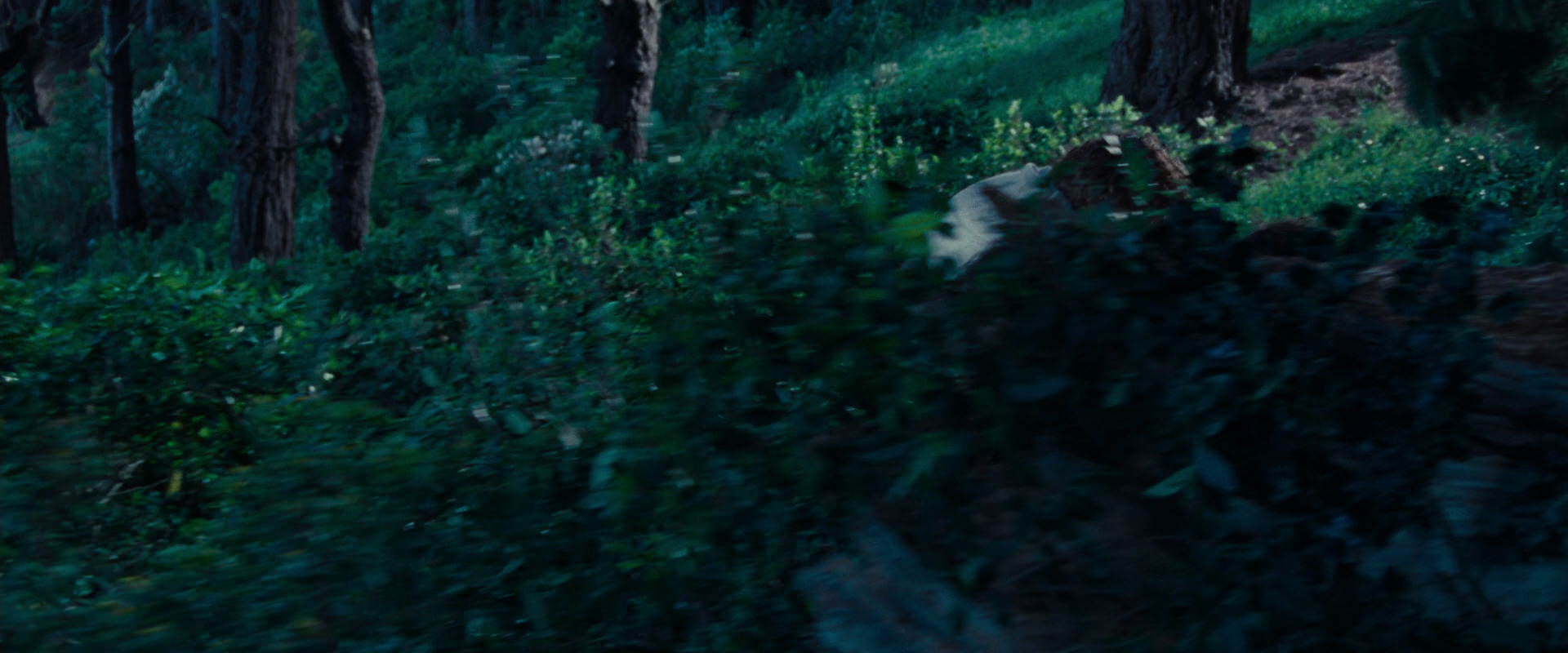 The Lord of the Rings: The Fellowship of the Ring (2001) screencap 5193