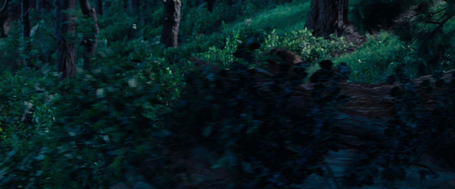 The Lord of the Rings: The Fellowship of the Ring (2001) movie still 5194