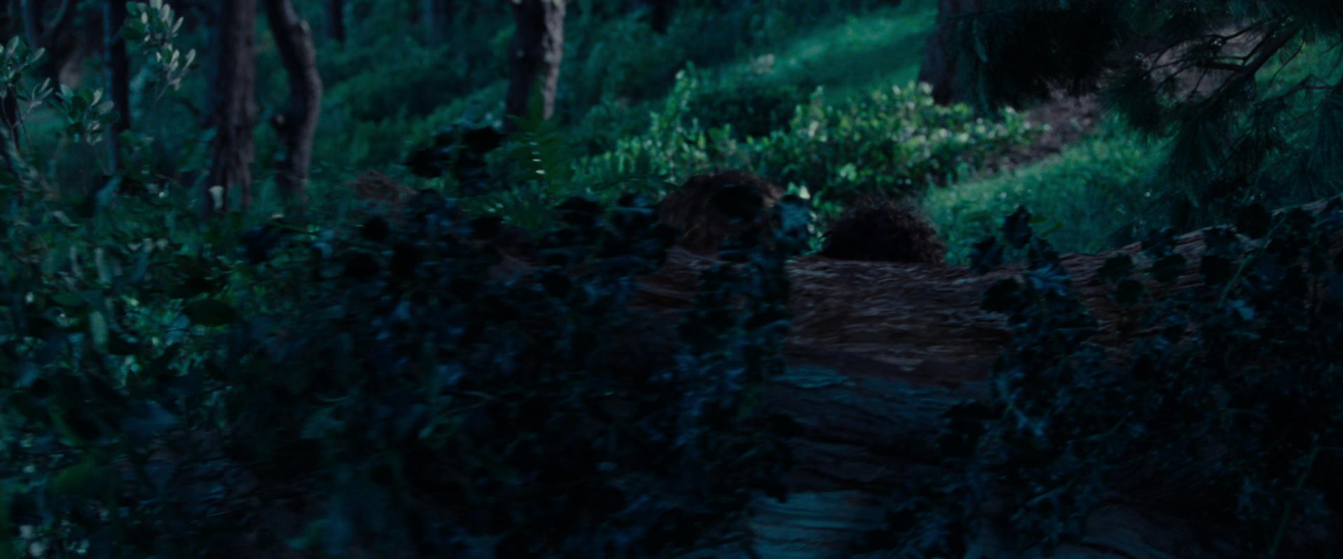 The Lord of the Rings: The Fellowship of the Ring (2001) HD screenshot 5195