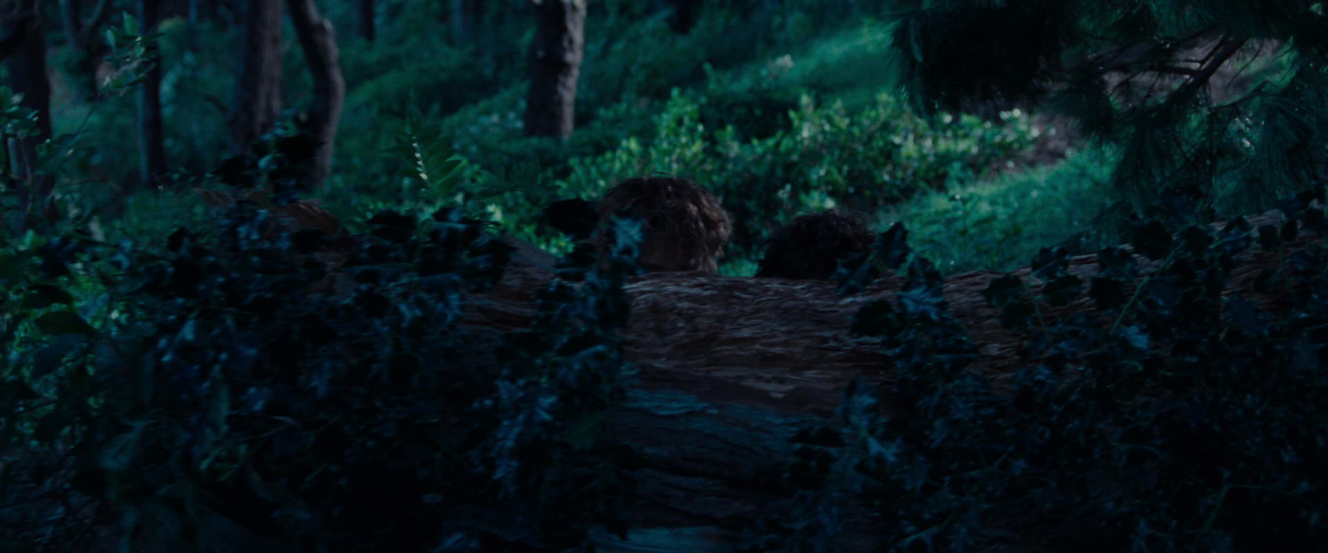 The Lord of the Rings: The Fellowship of the Ring (2001) screencap 5196