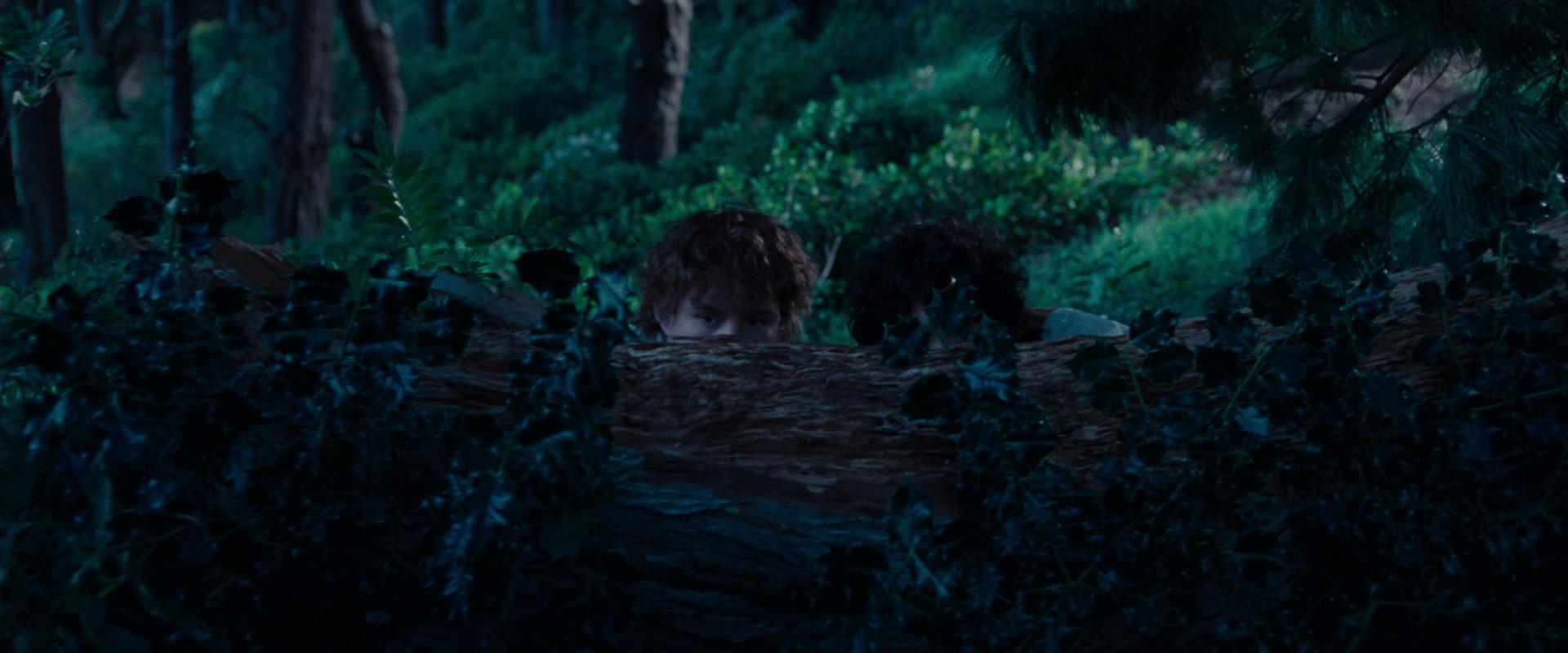 The Lord of the Rings: The Fellowship of the Ring (2001) movie still 5197