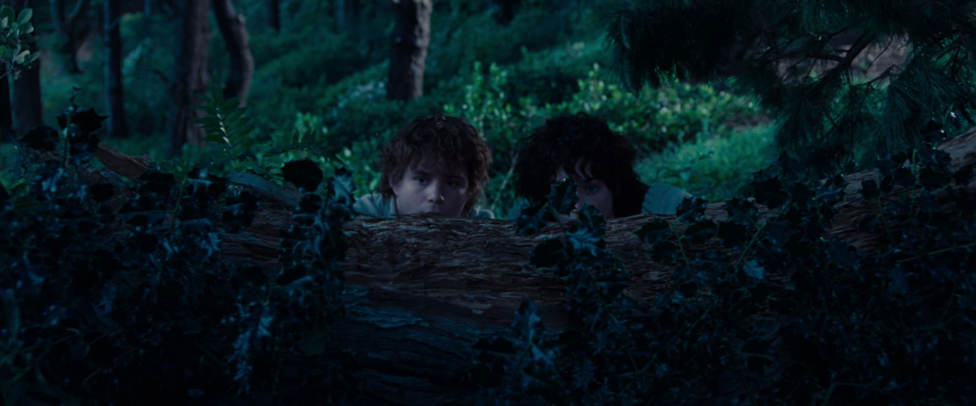 The Lord of the Rings: The Fellowship of the Ring (2001) HD screenshot 5198