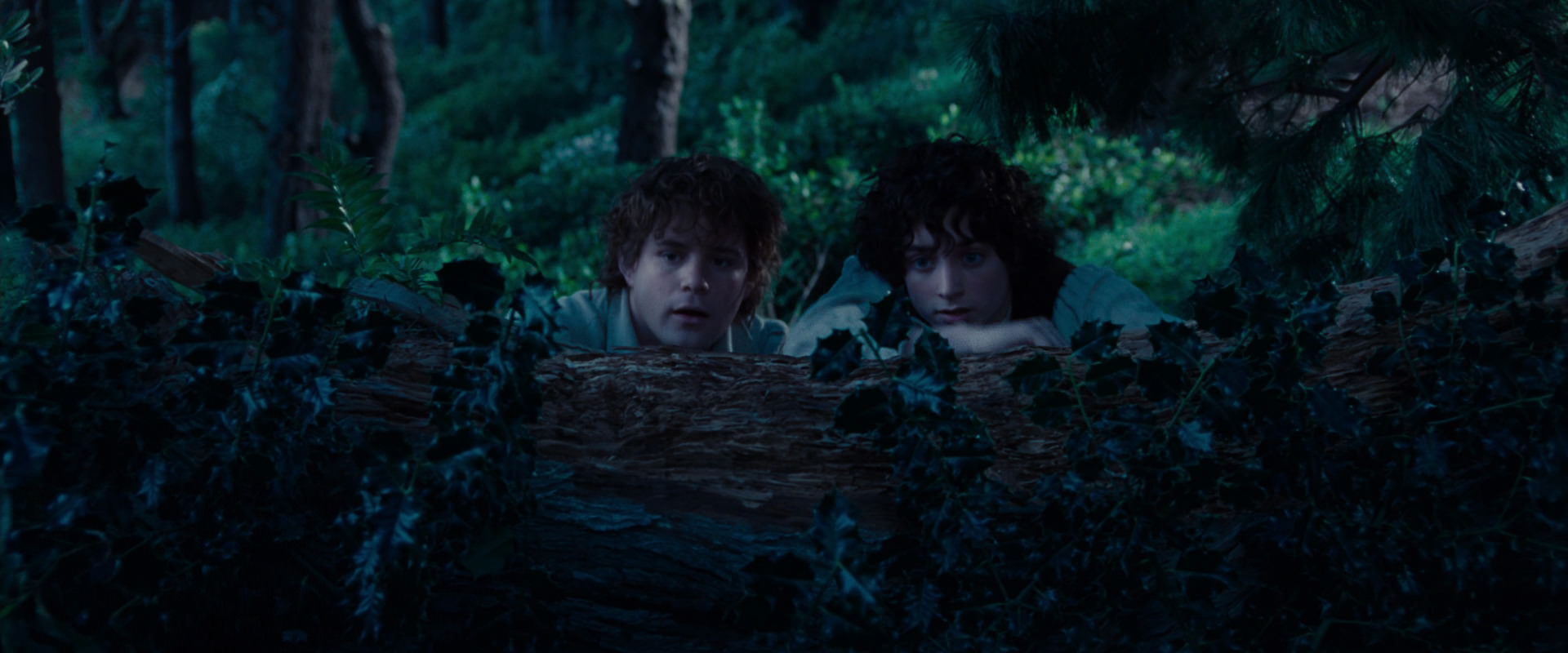 The Lord of the Rings: The Fellowship of the Ring (2001) screencap 5199