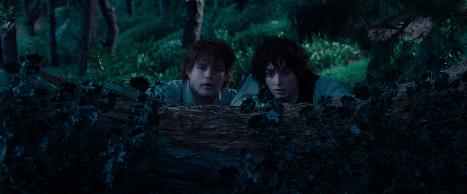 The Lord of the Rings: The Fellowship of the Ring (2001) movie still 5200
