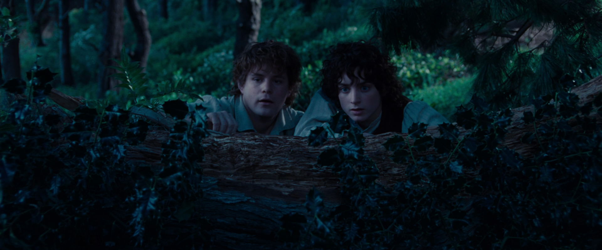 The Lord of the Rings: The Fellowship of the Ring (2001) HD screenshot 5201