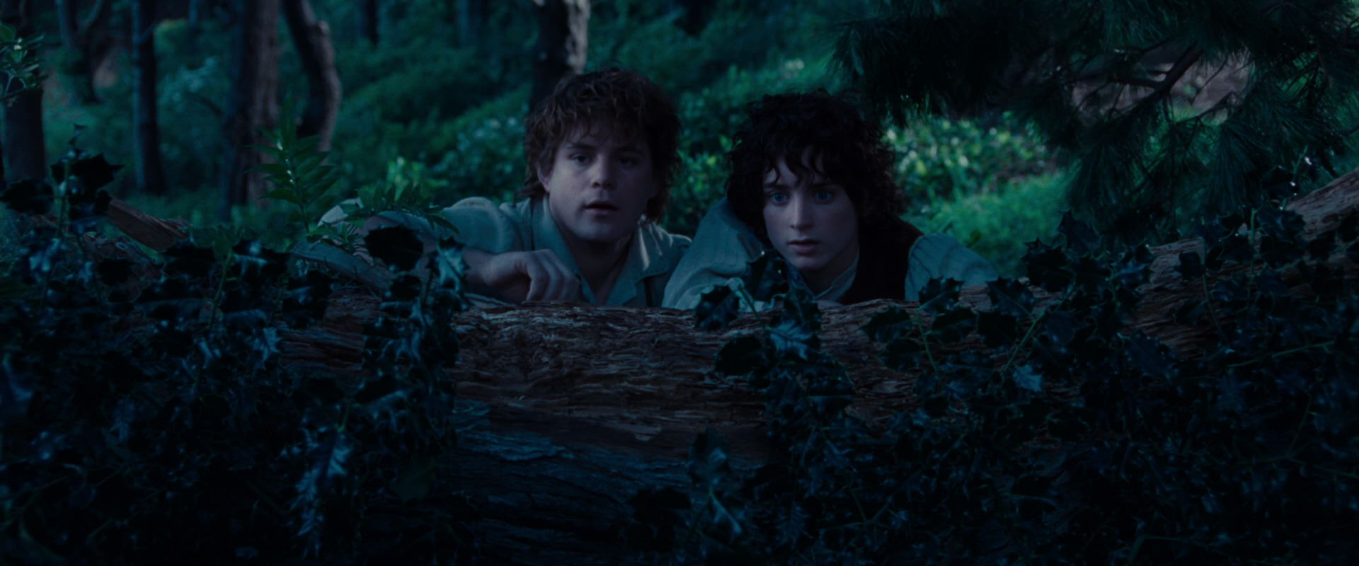 The Lord of the Rings: The Fellowship of the Ring (2001) screencap 5202