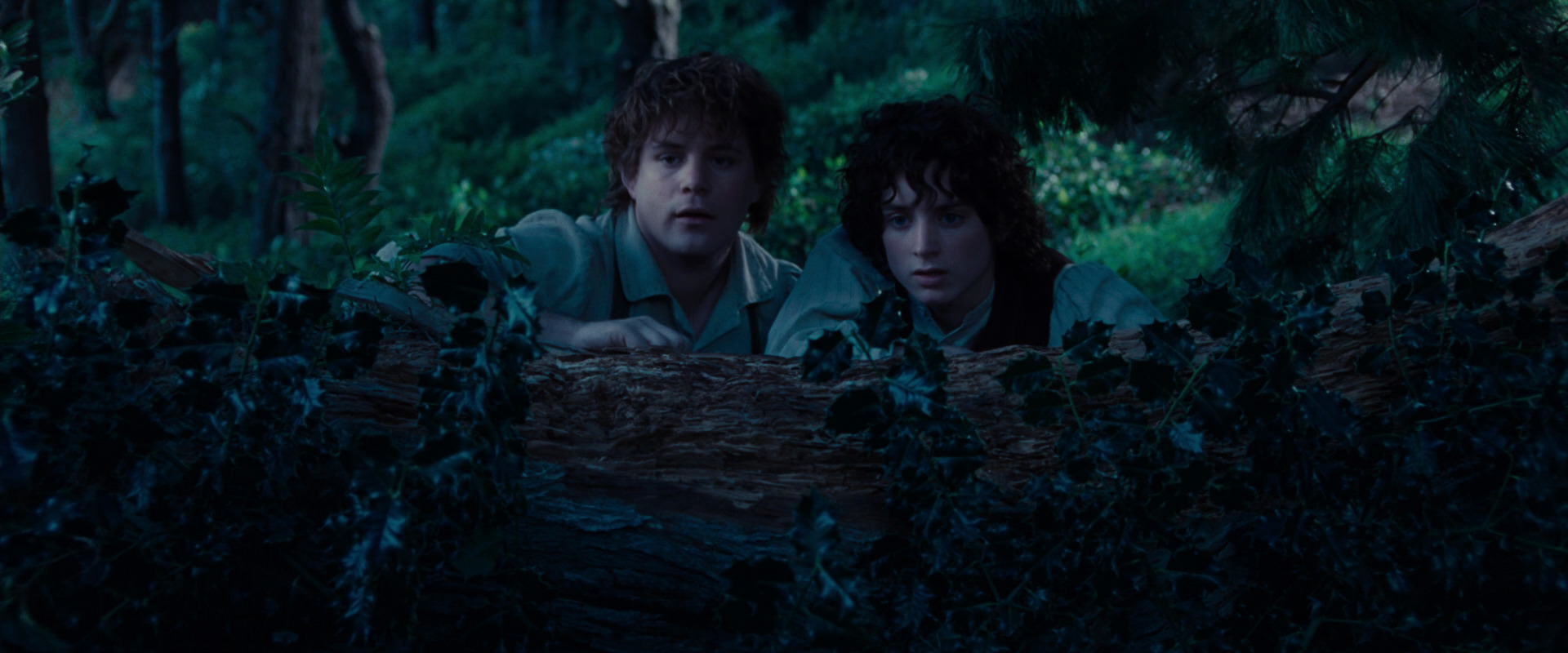 The Lord of the Rings: The Fellowship of the Ring (2001) movie still 5203