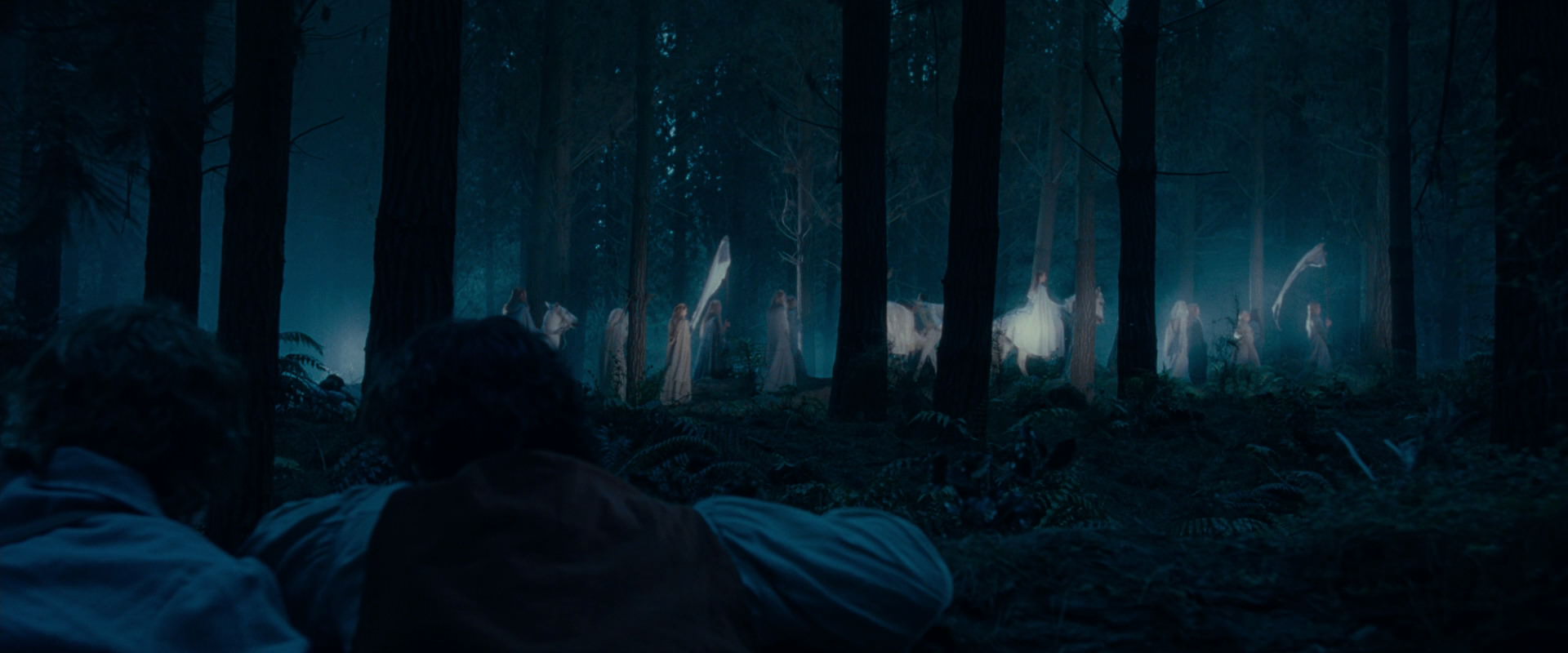 The Lord of the Rings: The Fellowship of the Ring (2001) HD screenshot 5204