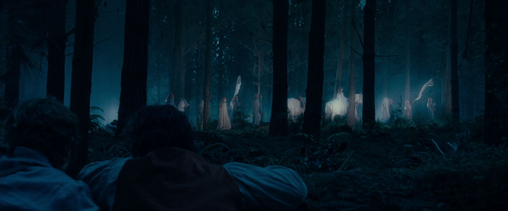The Lord of the Rings: The Fellowship of the Ring (2001) screencap 5205