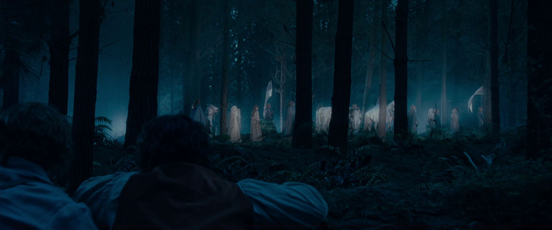 The Lord of the Rings: The Fellowship of the Ring (2001) screencap 5208