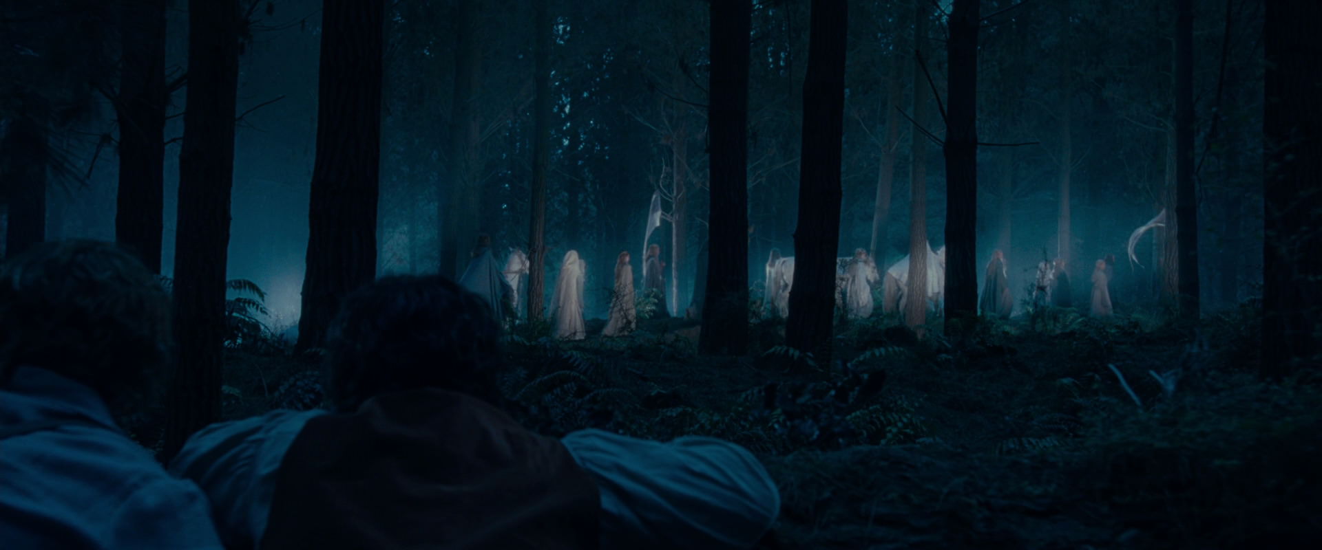 The Lord of the Rings: The Fellowship of the Ring (2001) movie still 5209