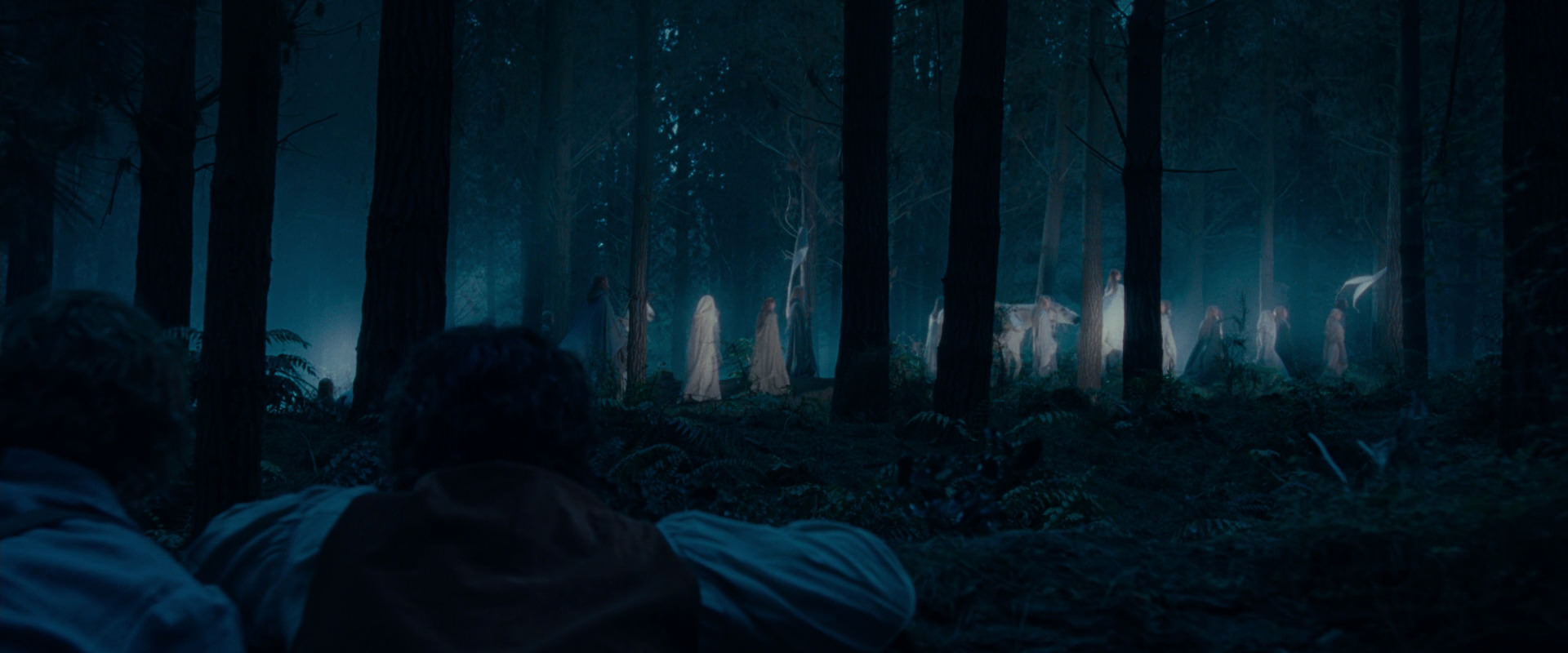 The Lord of the Rings: The Fellowship of the Ring (2001) screencap 5211