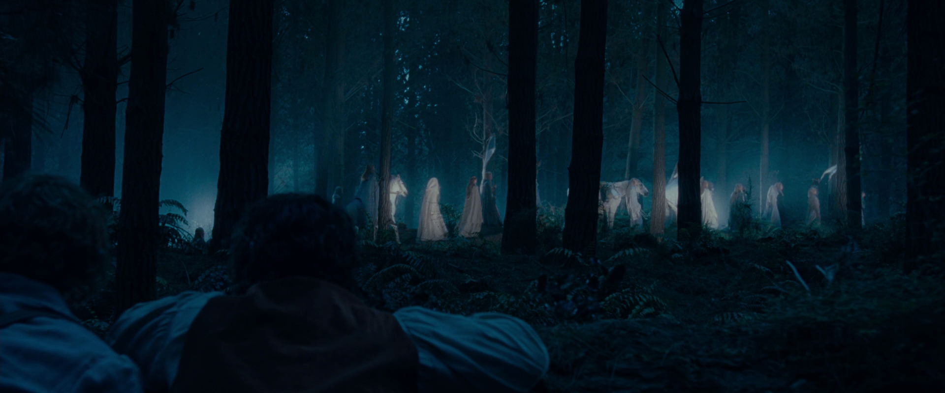 The Lord of the Rings: The Fellowship of the Ring (2001) movie still 5212