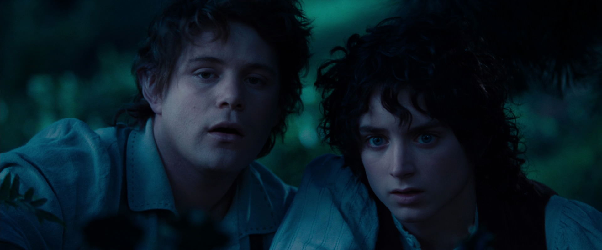 The Lord of the Rings: The Fellowship of the Ring (2001) movie still 5215
