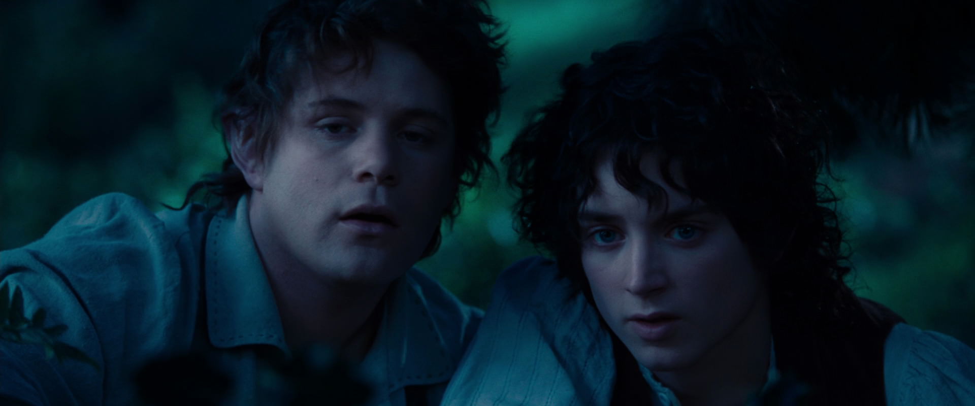 The Lord of the Rings: The Fellowship of the Ring (2001) HD screenshot 5216