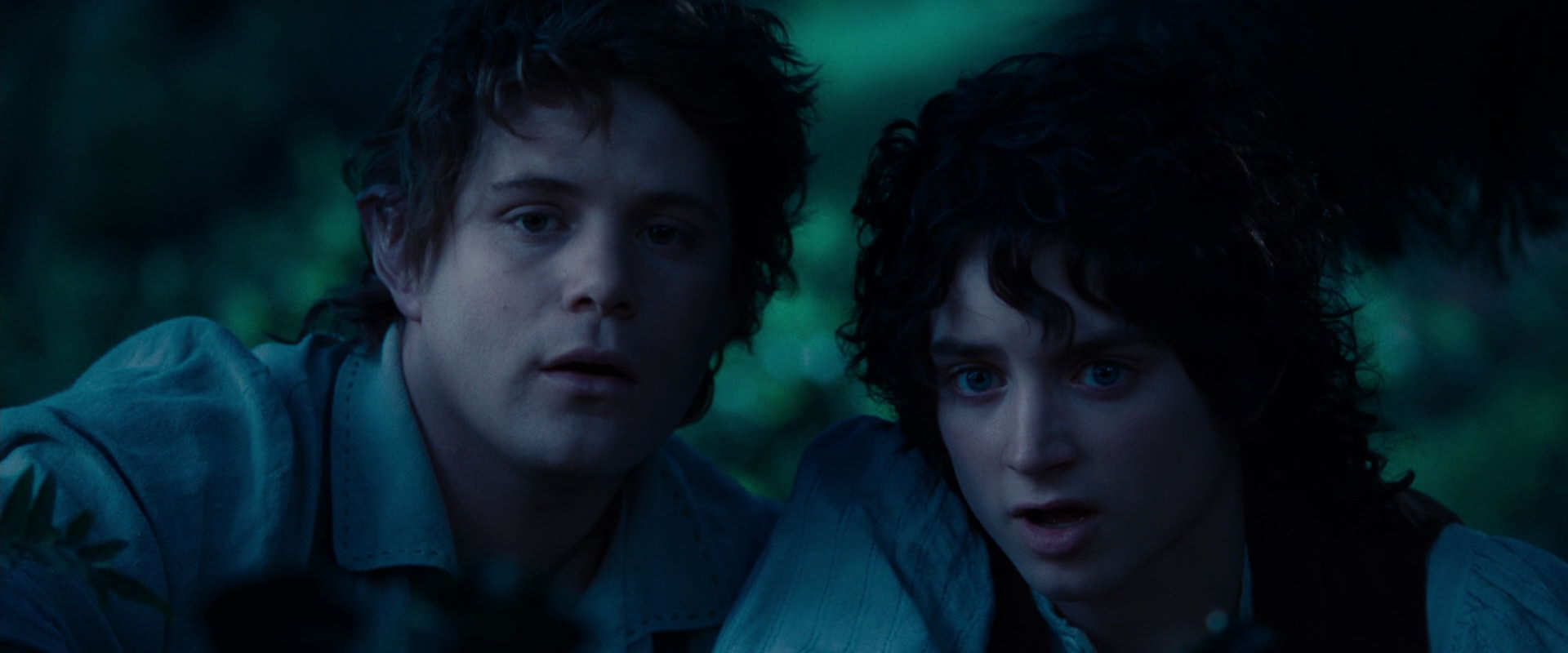 The Lord of the Rings: The Fellowship of the Ring (2001) screencap 5217