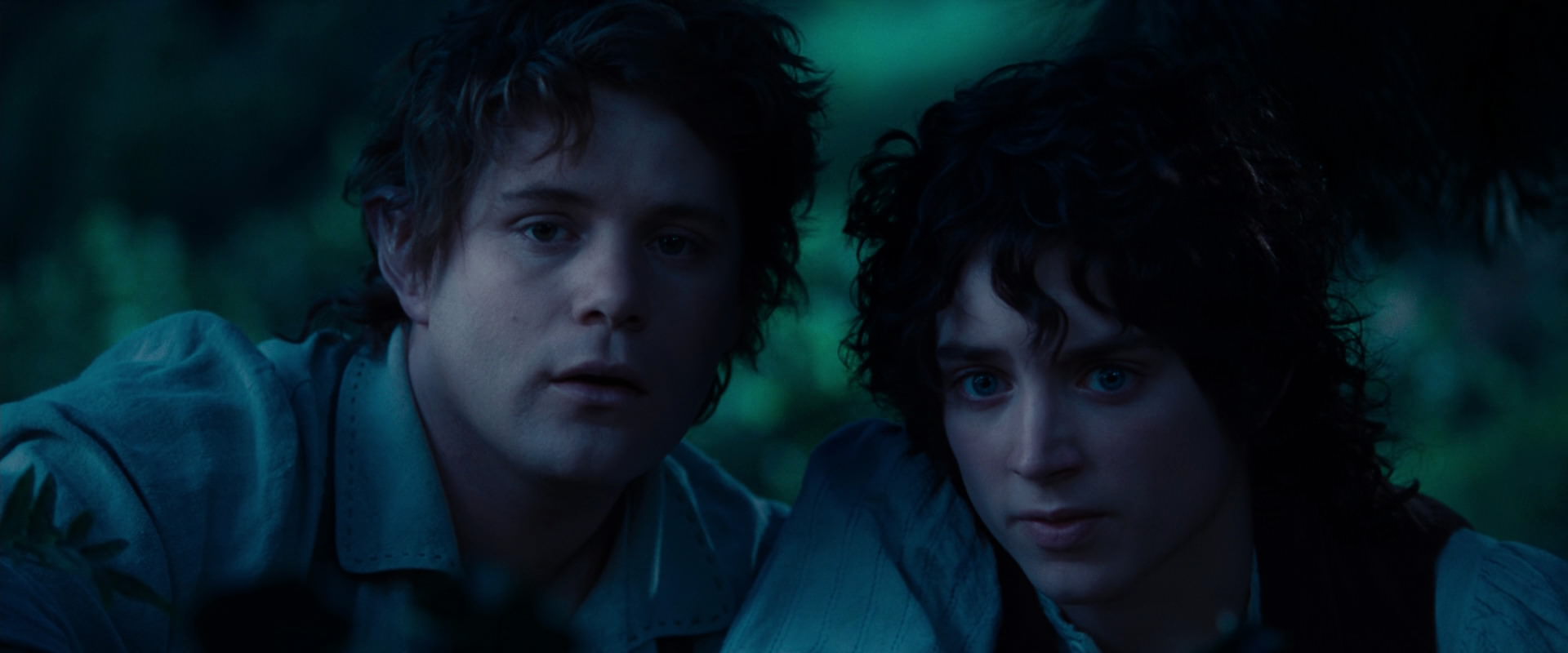 The Lord of the Rings: The Fellowship of the Ring (2001) movie still 5218