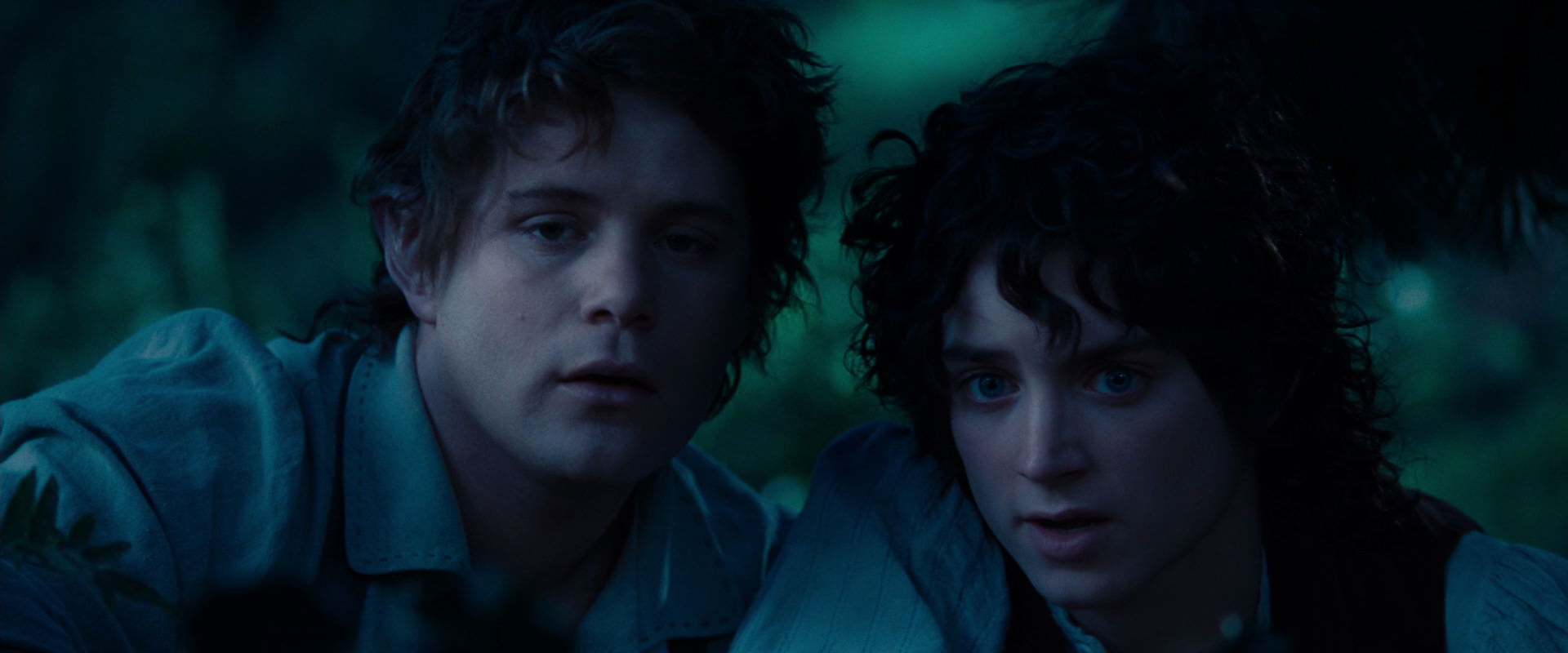 The Lord of the Rings: The Fellowship of the Ring (2001) HD screenshot 5219