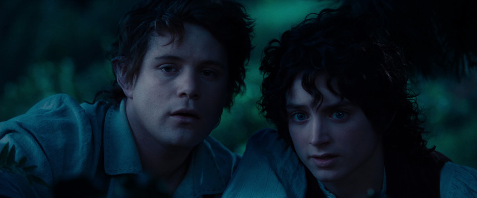 The Lord of the Rings: The Fellowship of the Ring (2001) screencap 5220