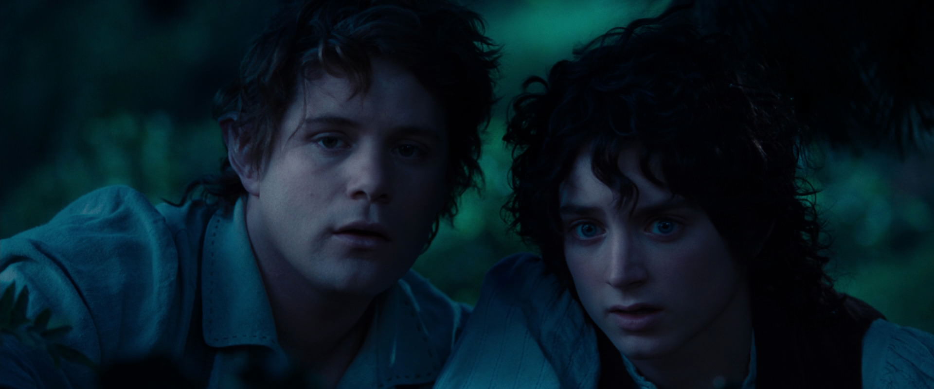 The Lord of the Rings: The Fellowship of the Ring (2001) movie still 5221
