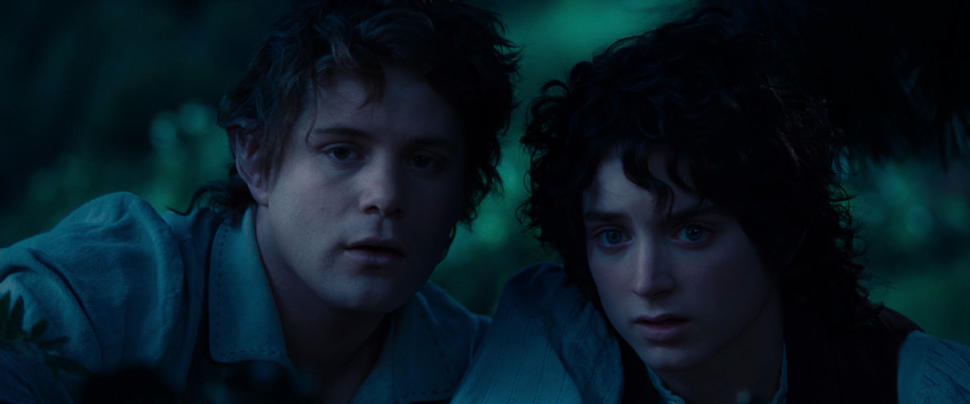 The Lord of the Rings: The Fellowship of the Ring (2001) HD screenshot 5222