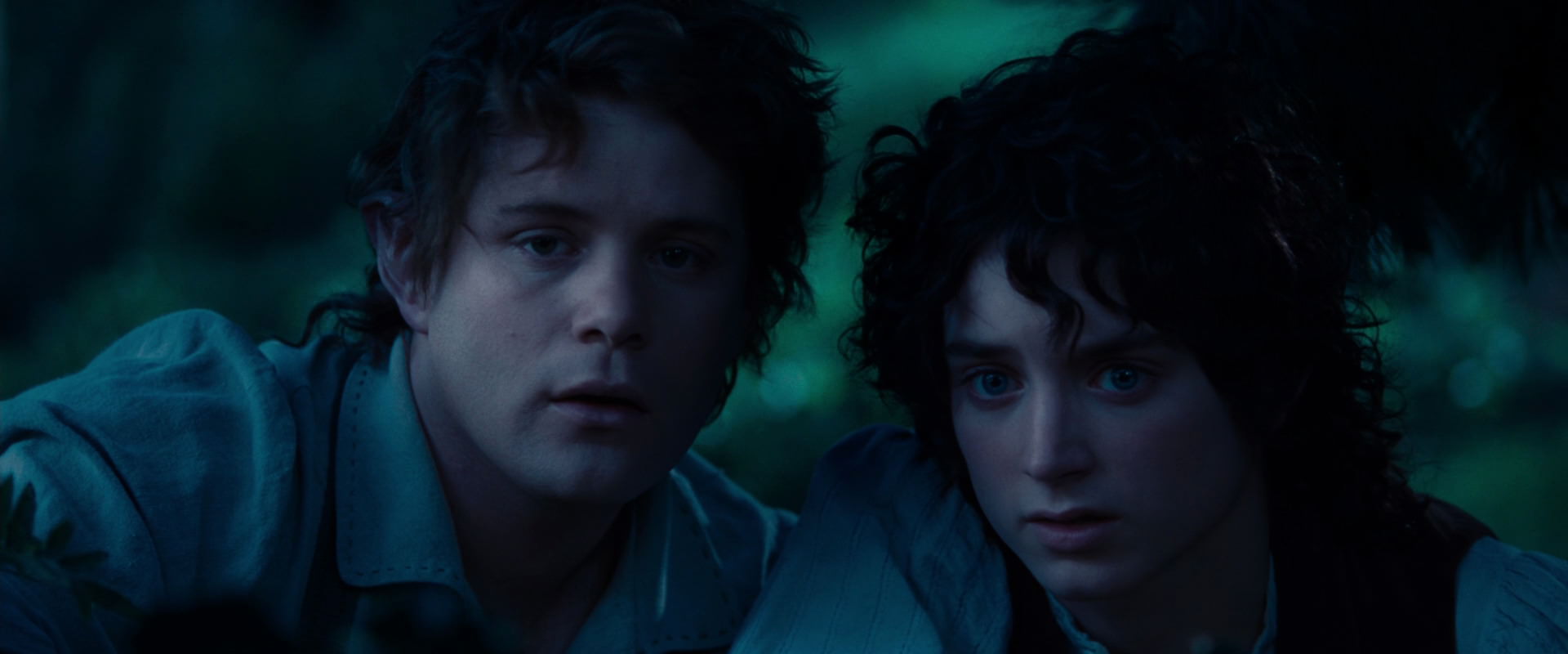 The Lord of the Rings: The Fellowship of the Ring (2001) screencap 5223