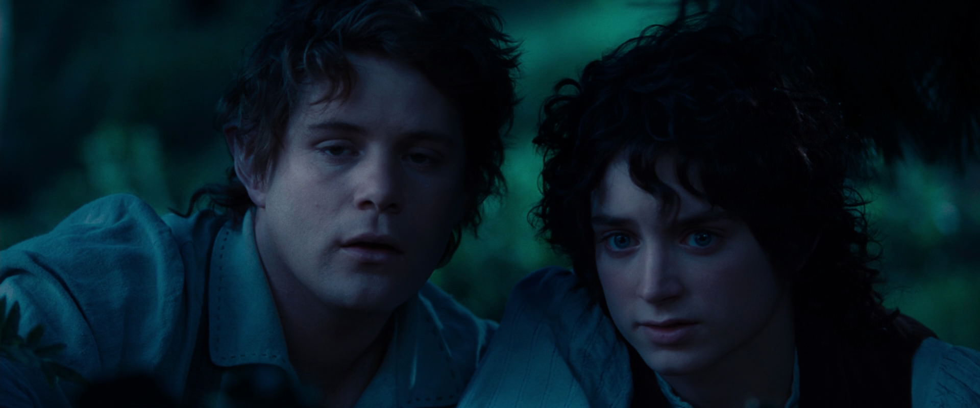 The Lord of the Rings: The Fellowship of the Ring (2001) movie still 5224
